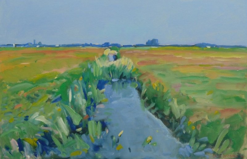 Landschap bij Earnewâld