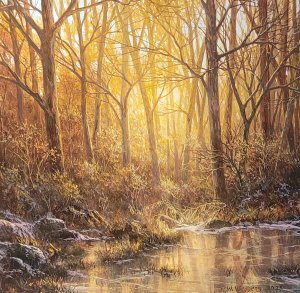 最新館藏 > Bevroren veen kopen?