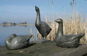 最新館藏 > Ganzen kopen?