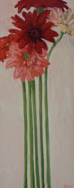 最新館藏 > Gerbera's kopen?