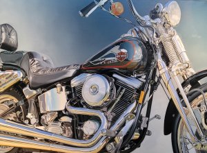 最新館藏 > Harley kopen?