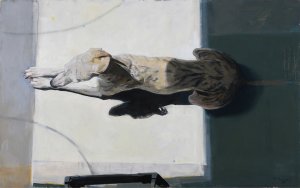 Pieter Pander > Hondje van bovenaf kopen?