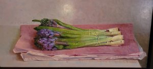 最新館藏 > Hyacinten (één maart) kopen?