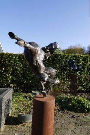 最新館藏 > Jumper kopen?