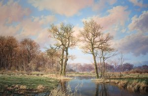 最新館藏 > Kalme stroming Drentse Aa kopen?