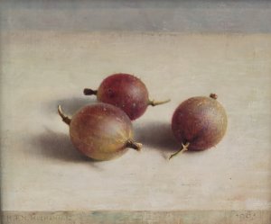 最新館藏 > Kruisbesjes kopen?