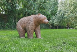 最新館藏 > Lopende beer kopen?