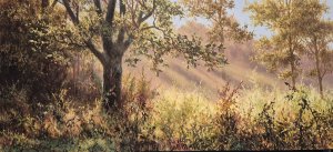 最新館藏 > Onder de notenboom kopen?