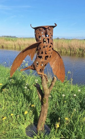 最新館藏 > Uil op stam kopen?