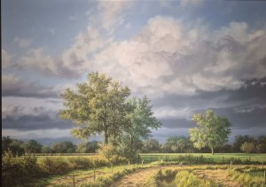 New arrivals > Zijerveld kopen?