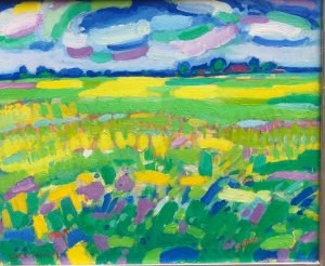 New arrivals > Landschap bij Waakens kopen?