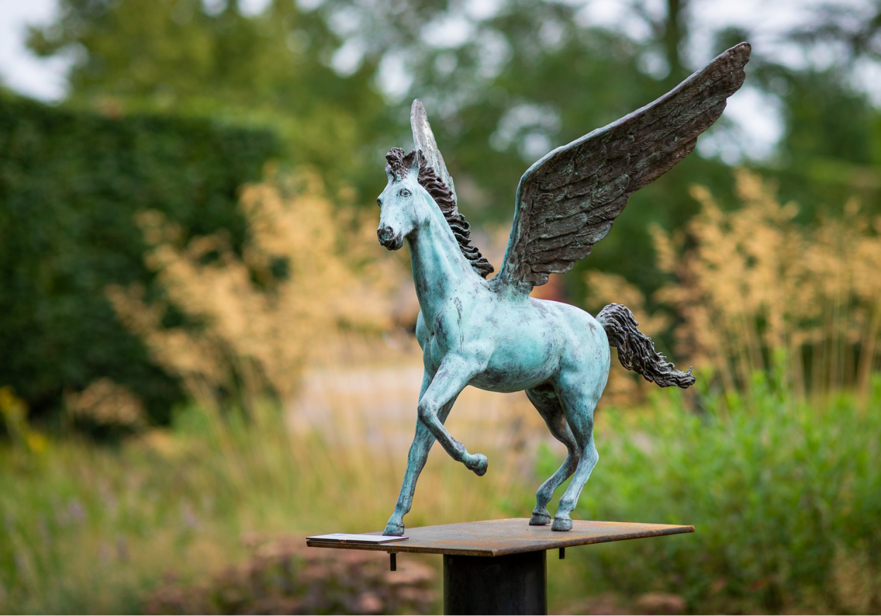 Kunst Pegasus van J. en M. Bremers kopen?